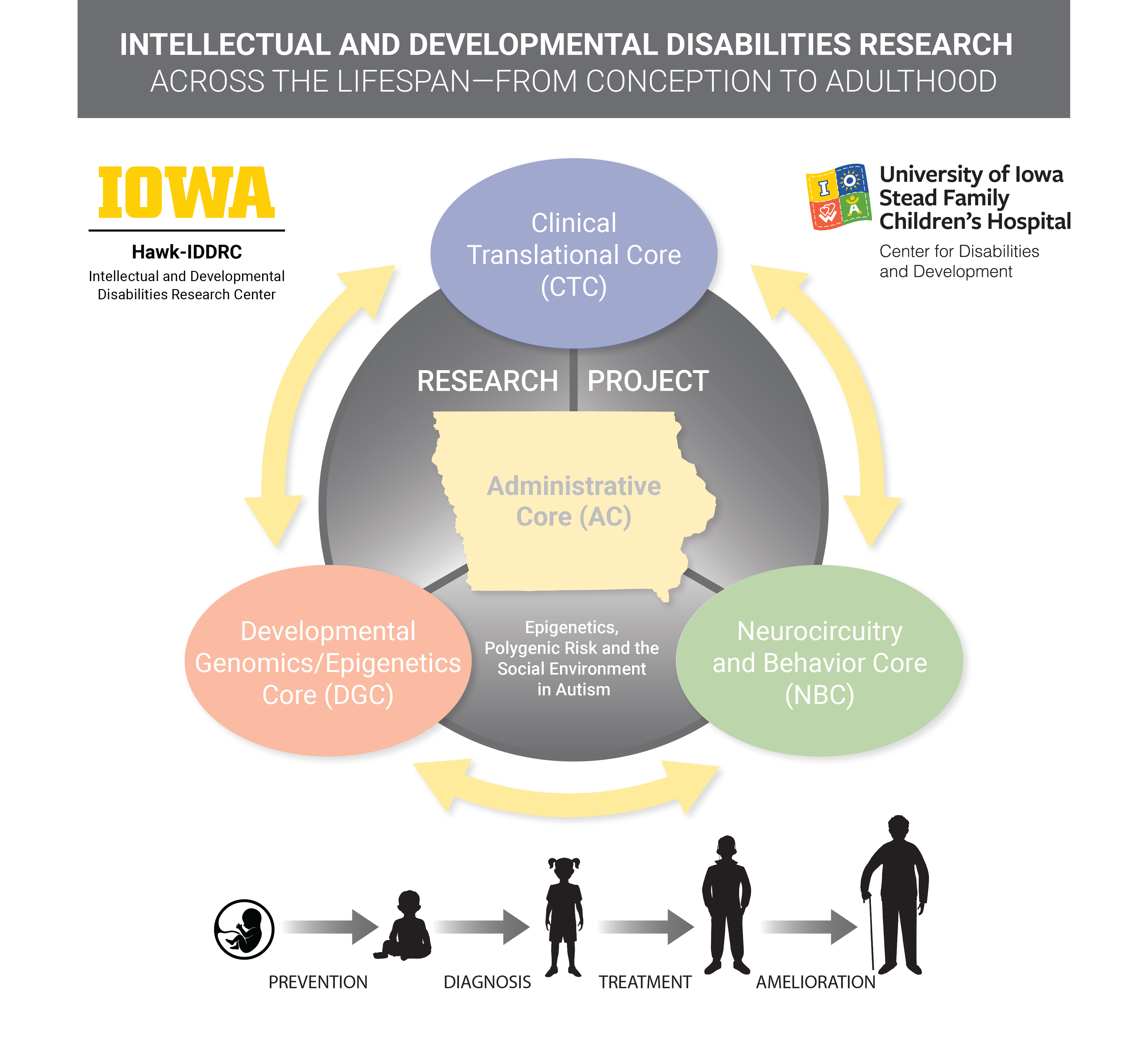 Graphic Illustration - Research Core