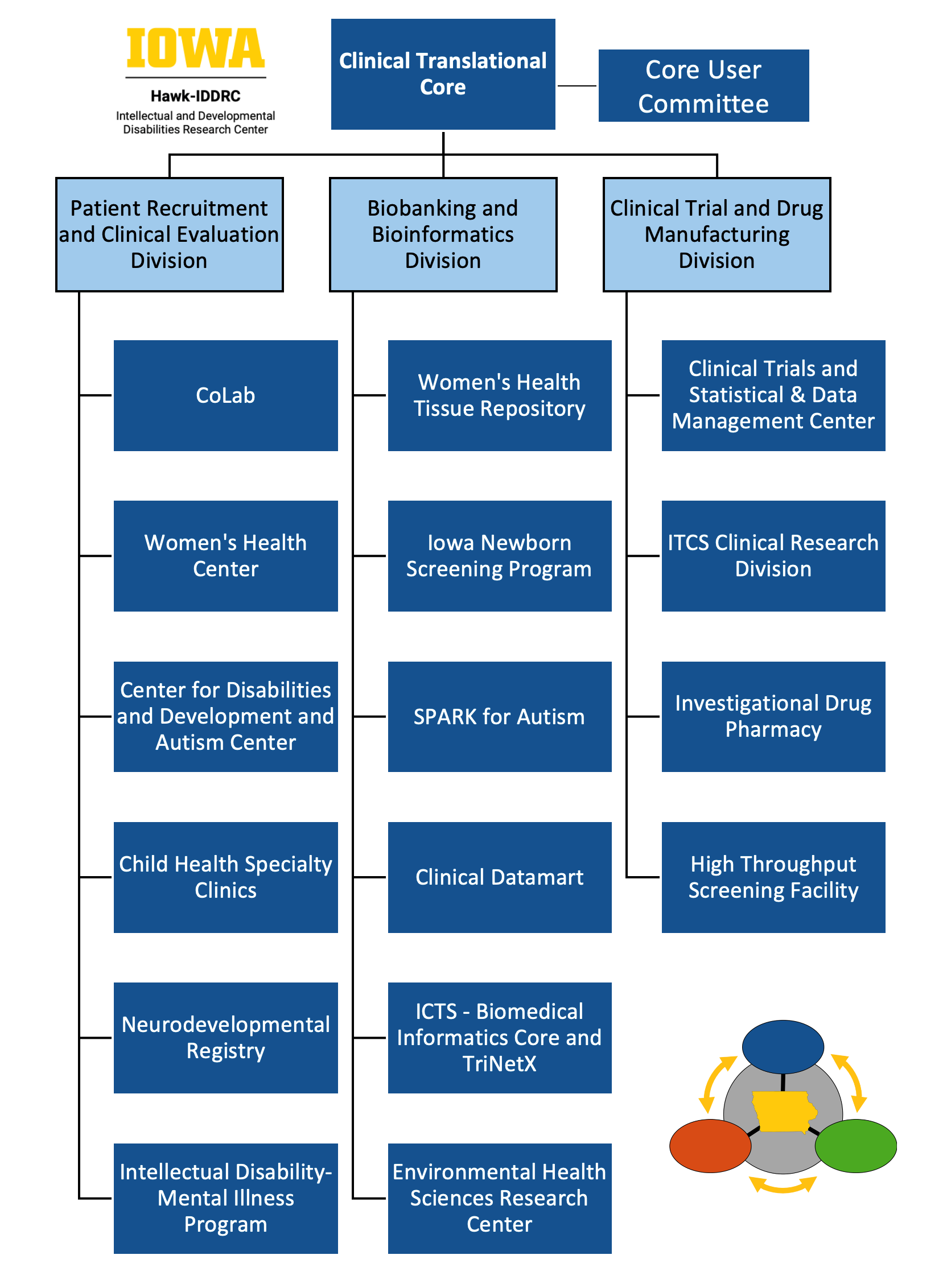 Organizational chart, Clinical Translational Core