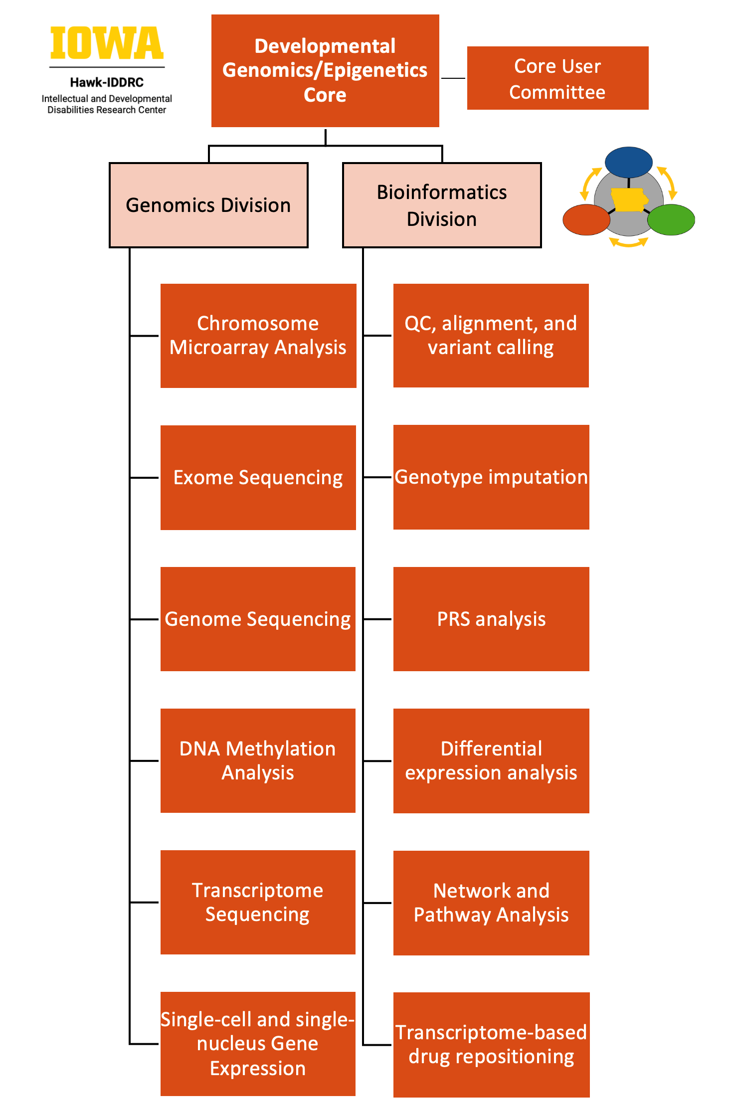 Organizational Chart, Developmental Genomic/Epigenomic Core
