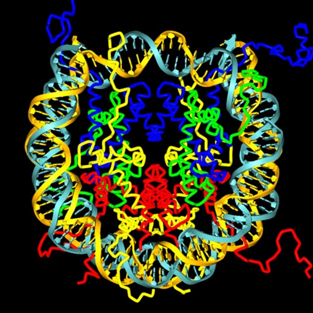 Colorful brain image 