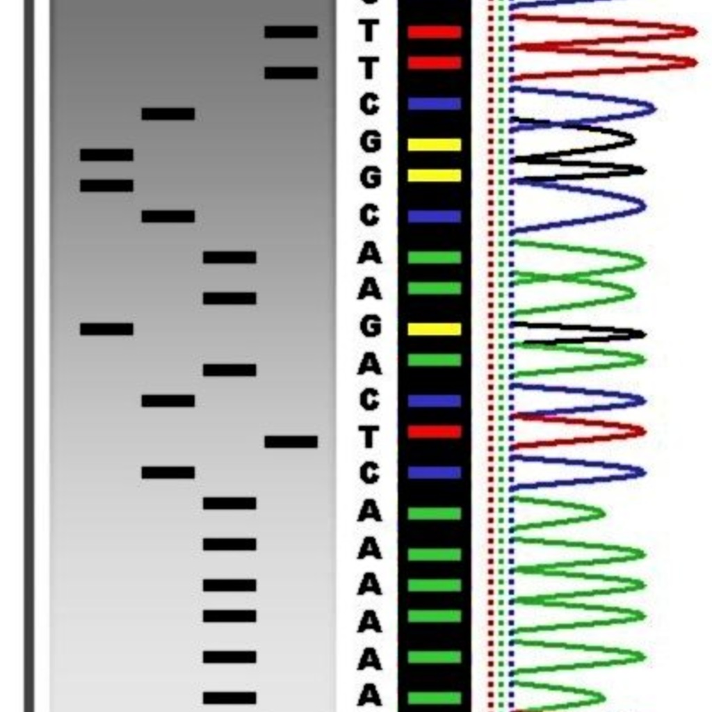 Photo of DNA sequencing