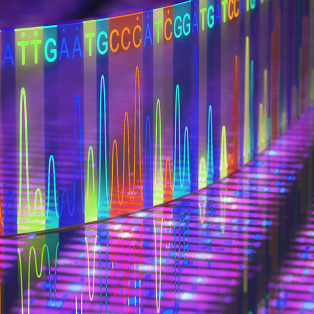 Colorful genome sequence
