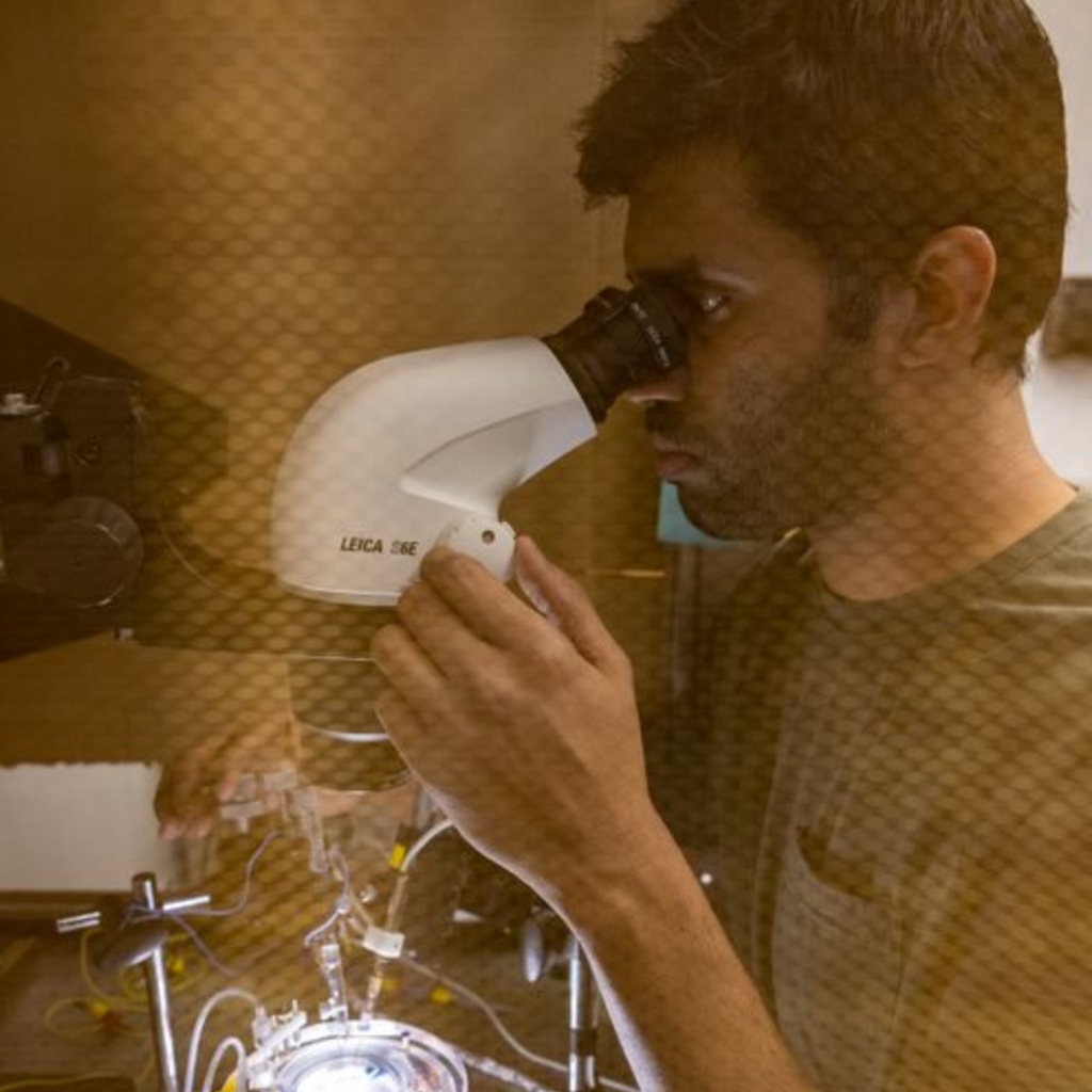 Lab researcher looking through microscope
