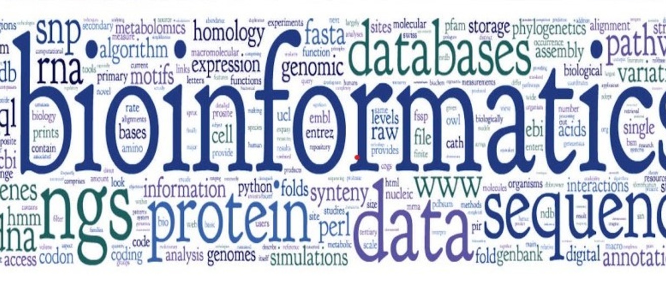 Bioinformatics word graphic